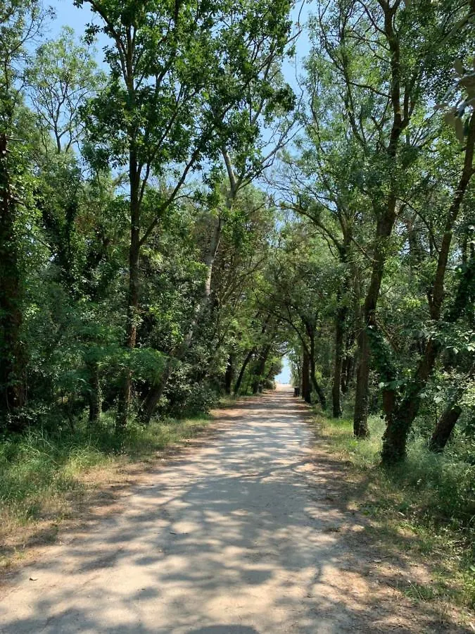 Locazione Turistica Mare Pineta-2 Villa Casal Borsetti